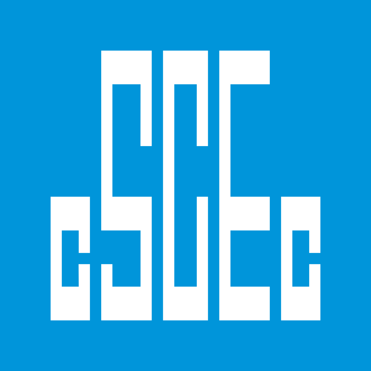 China State Construction Engineering Corporation (CSCEC)